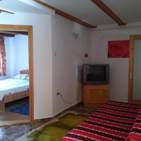 Casa Trandafirilor Hotel Cîrţişoara Екстериор снимка
