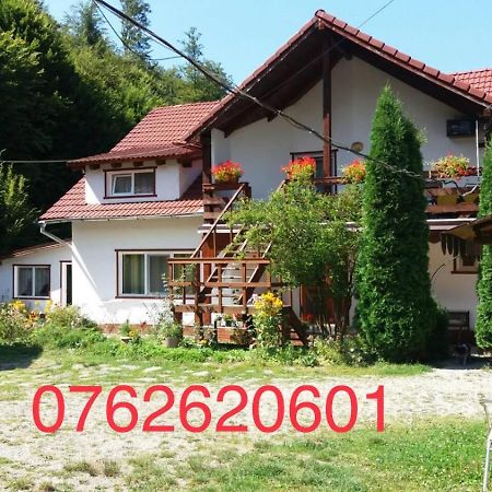 Casa Trandafirilor Hotel Cîrţişoara Екстериор снимка