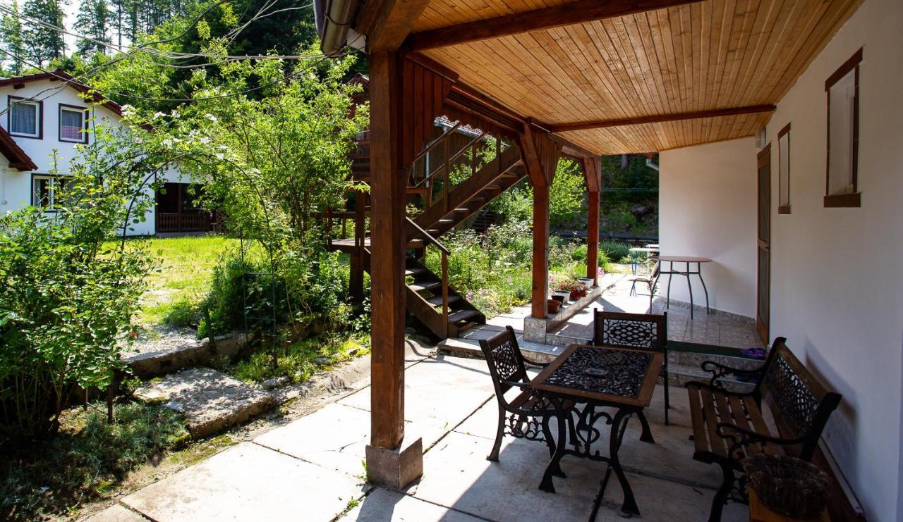 Casa Trandafirilor Hotel Cîrţişoara Екстериор снимка