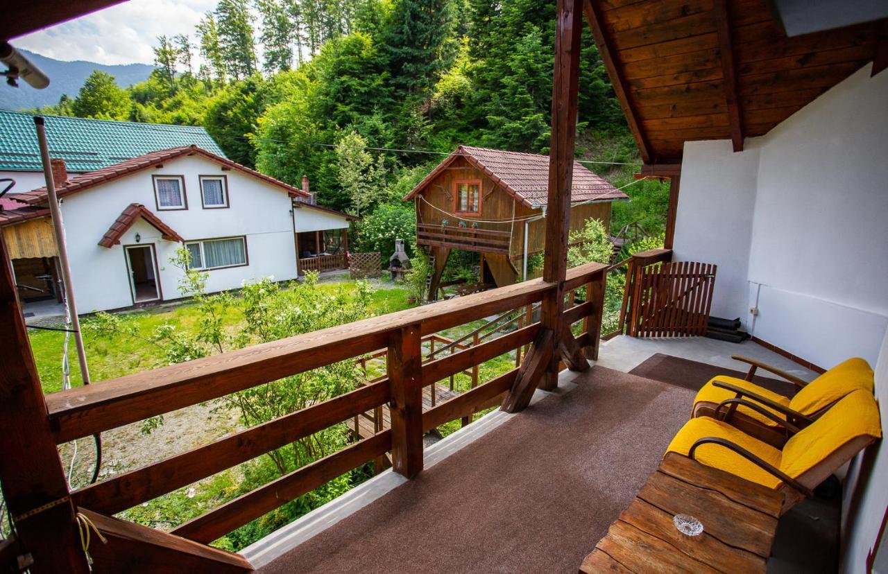 Casa Trandafirilor Hotel Cîrţişoara Екстериор снимка