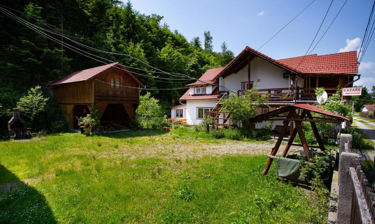 Casa Trandafirilor Hotel Cîrţişoara Екстериор снимка