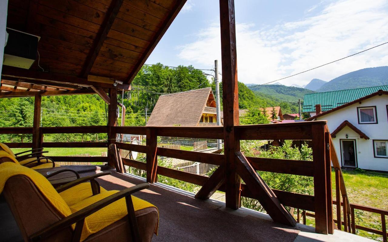 Casa Trandafirilor Hotel Cîrţişoara Екстериор снимка