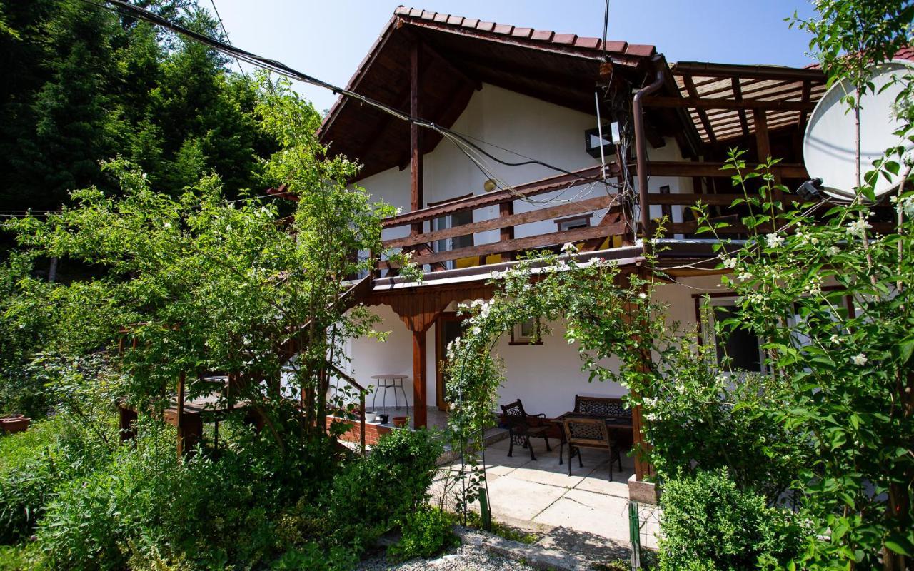Casa Trandafirilor Hotel Cîrţişoara Екстериор снимка