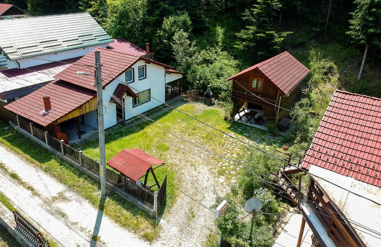 Casa Trandafirilor Hotel Cîrţişoara Екстериор снимка
