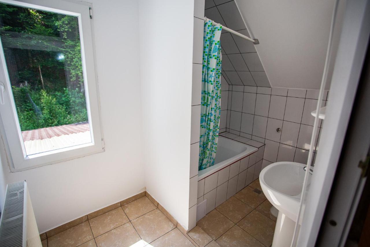 Casa Trandafirilor Hotel Cîrţişoara Екстериор снимка
