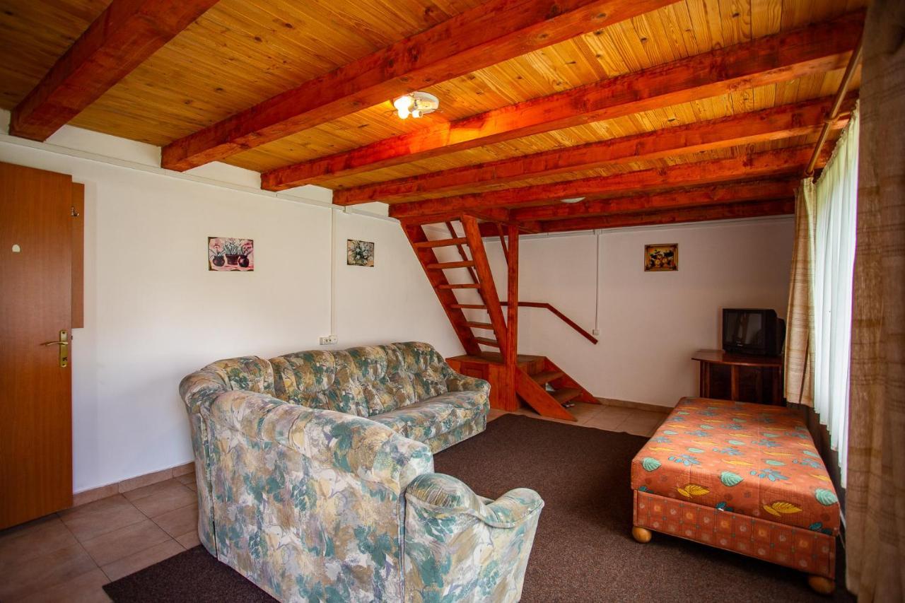 Casa Trandafirilor Hotel Cîrţişoara Екстериор снимка