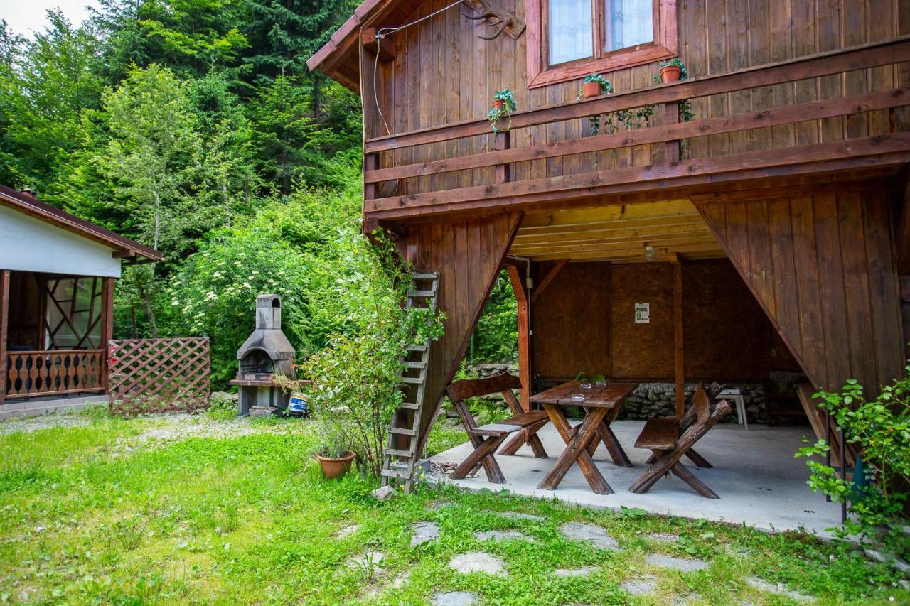 Casa Trandafirilor Hotel Cîrţişoara Екстериор снимка