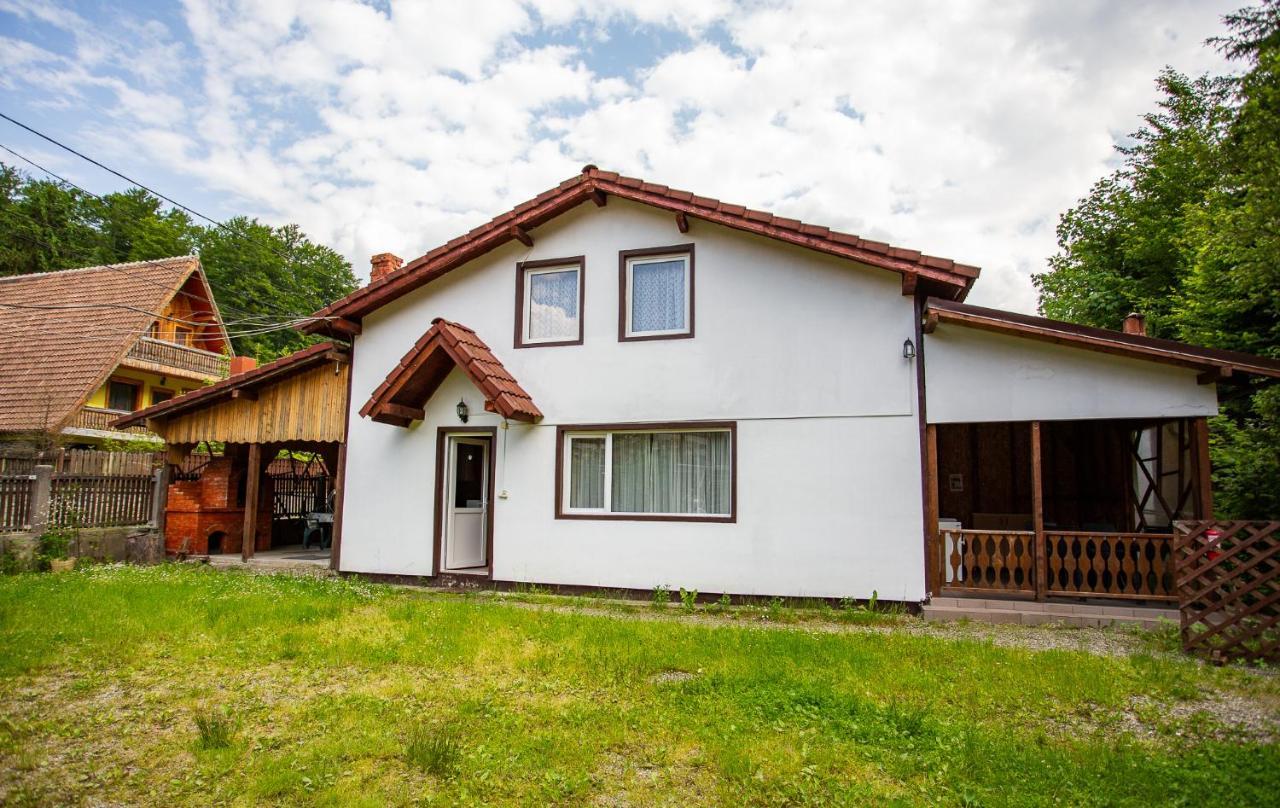 Casa Trandafirilor Hotel Cîrţişoara Екстериор снимка