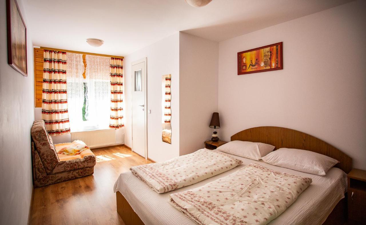Casa Trandafirilor Hotel Cîrţişoara Екстериор снимка