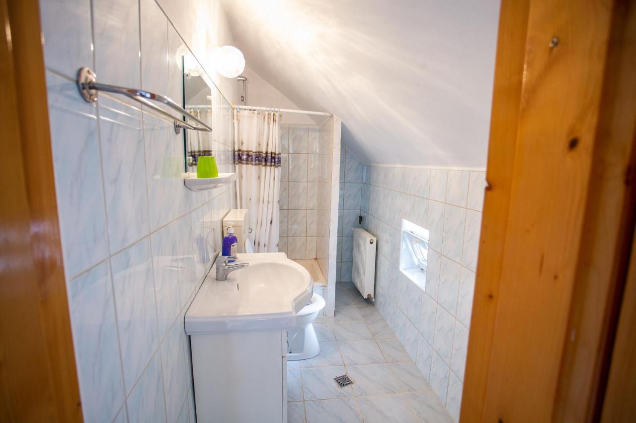 Casa Trandafirilor Hotel Cîrţişoara Екстериор снимка