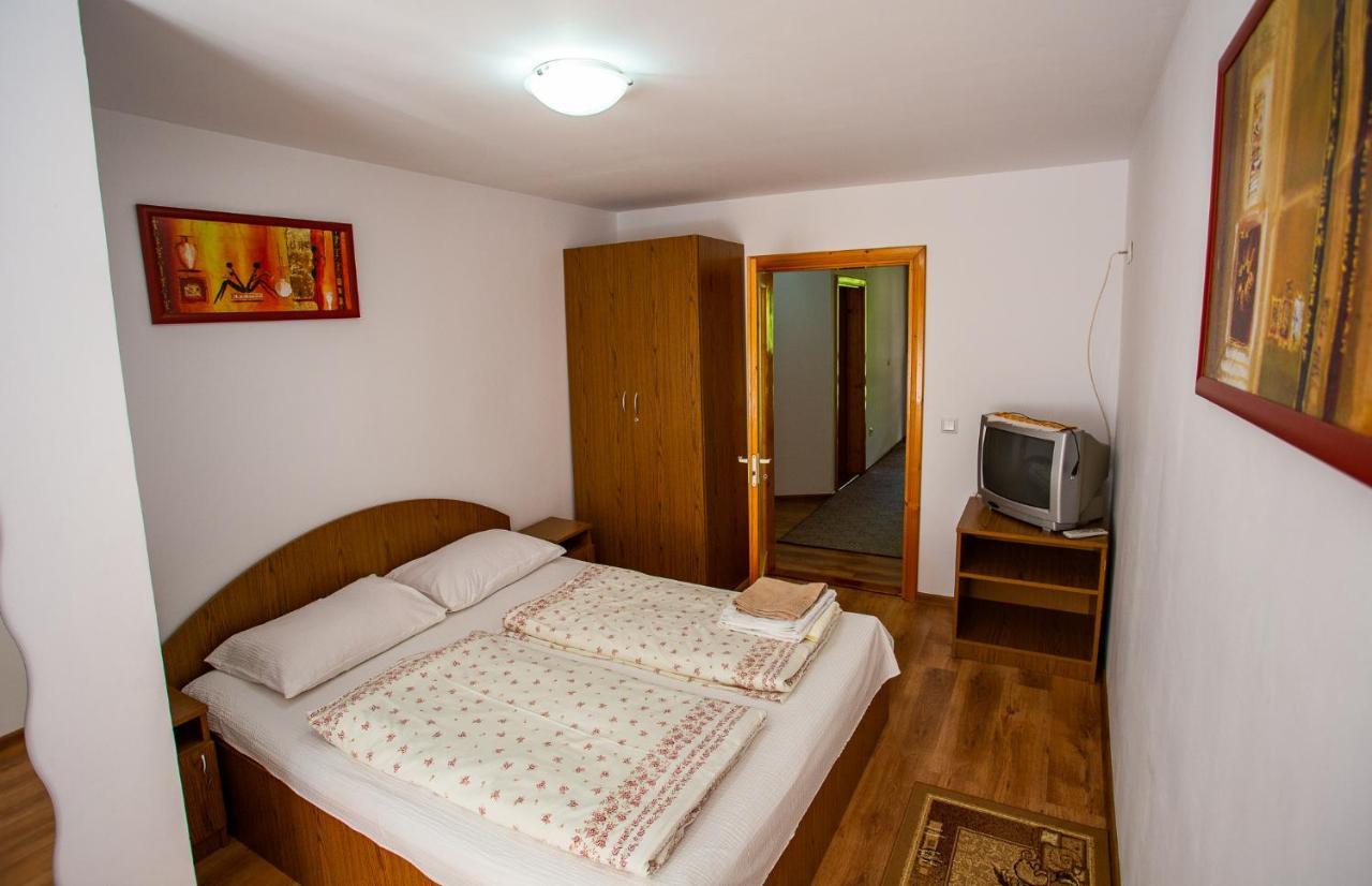 Casa Trandafirilor Hotel Cîrţişoara Екстериор снимка