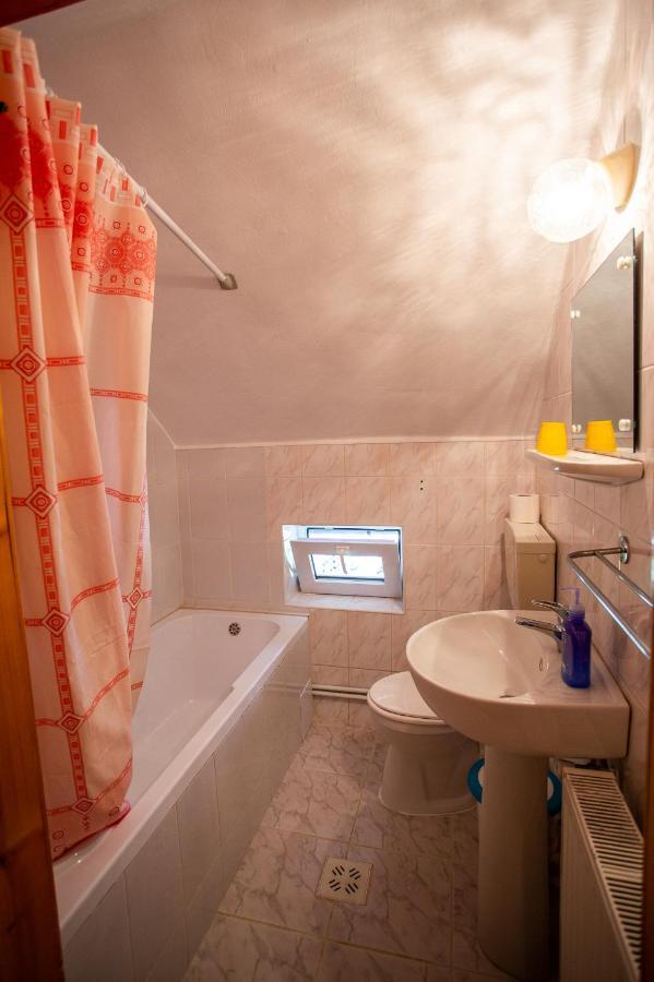 Casa Trandafirilor Hotel Cîrţişoara Екстериор снимка