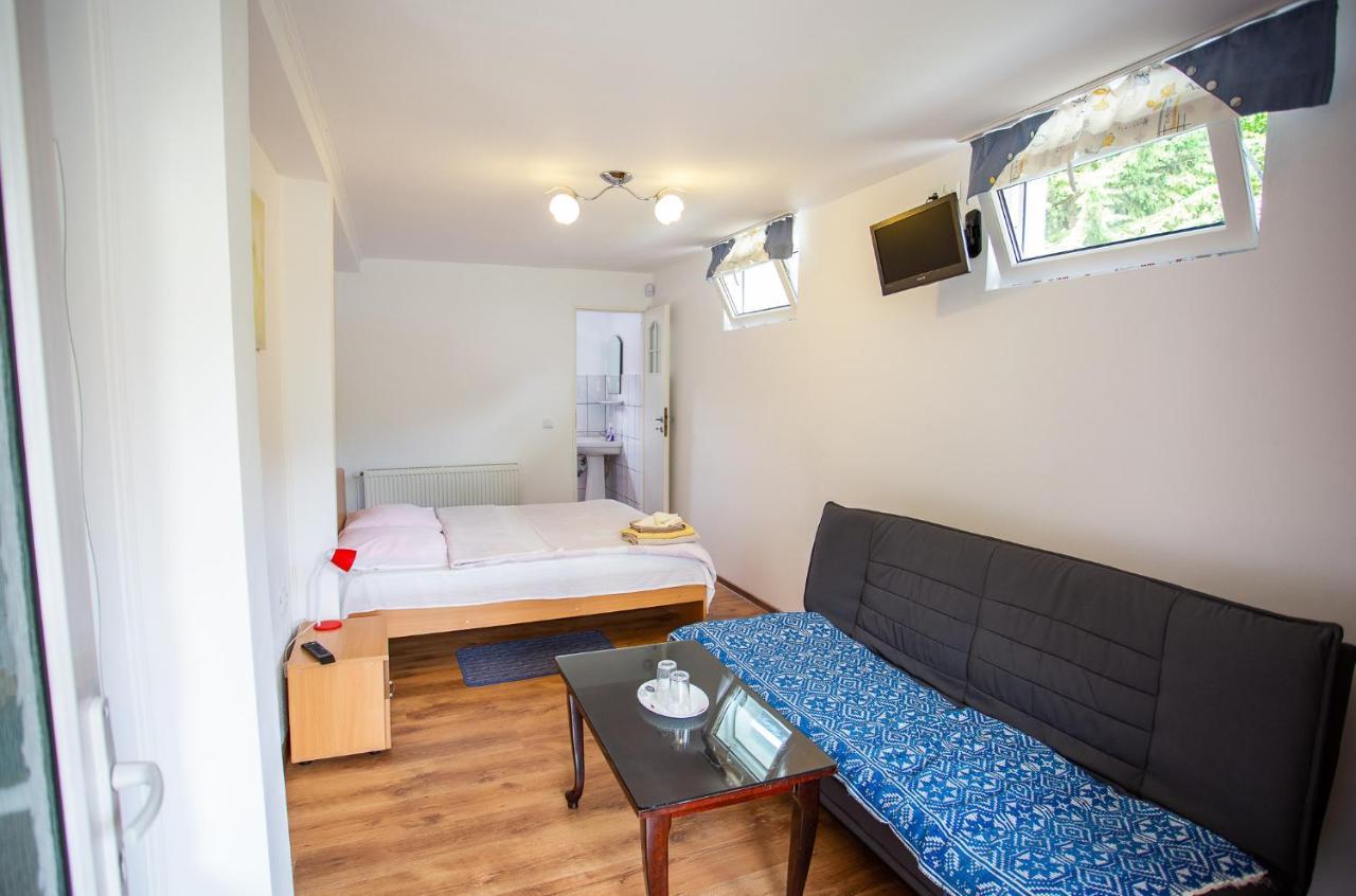 Casa Trandafirilor Hotel Cîrţişoara Екстериор снимка
