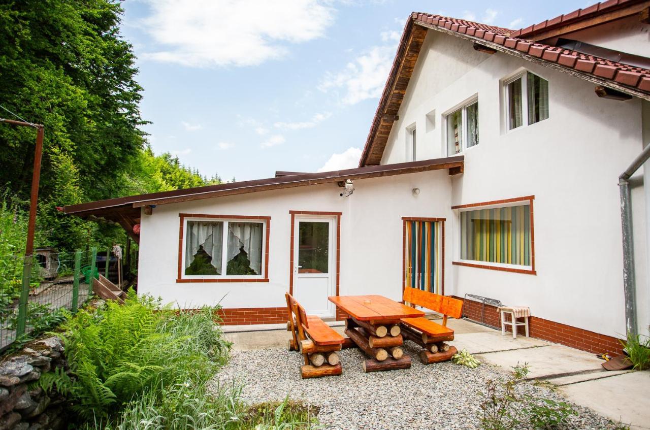 Casa Trandafirilor Hotel Cîrţişoara Екстериор снимка