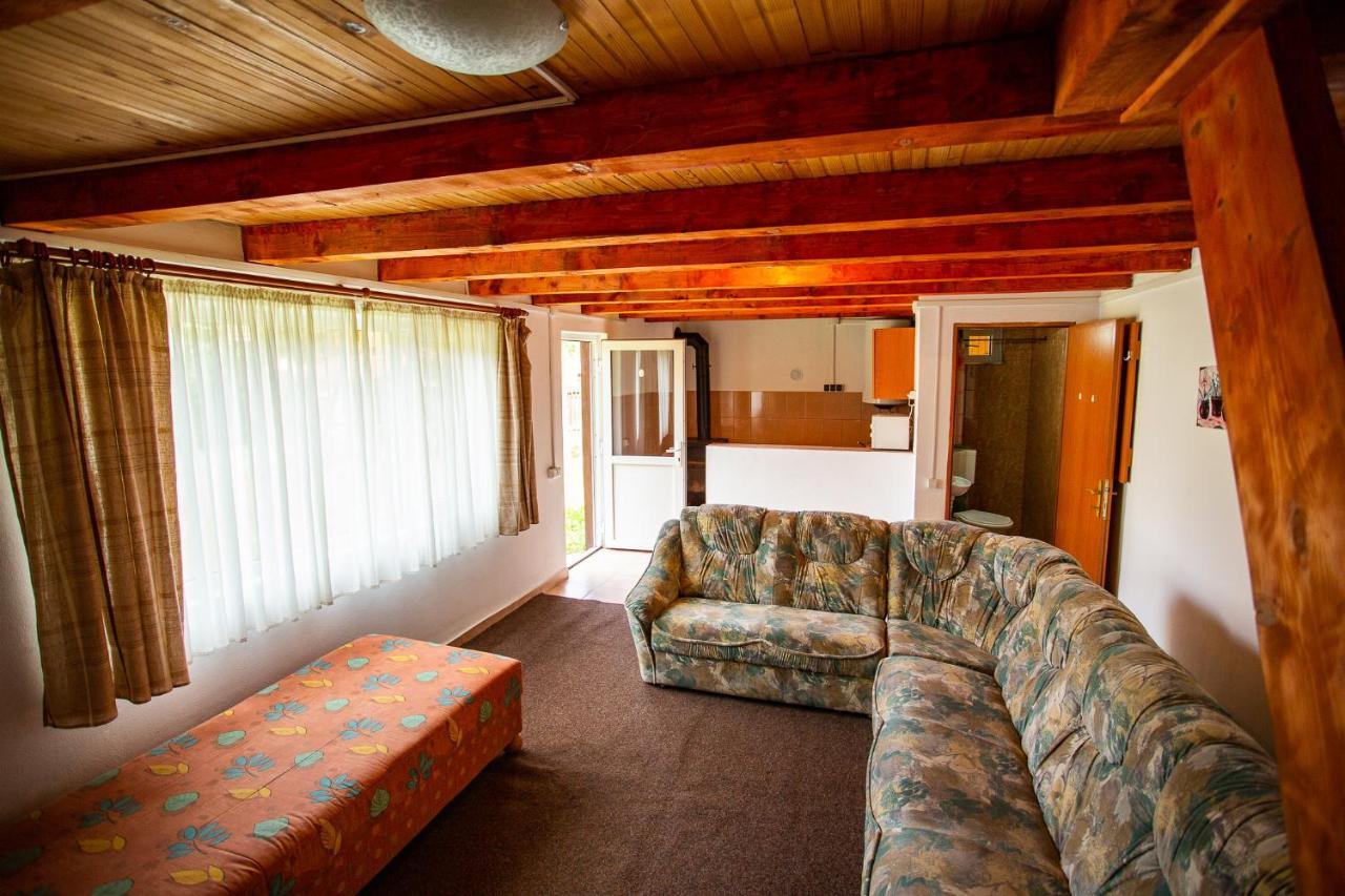 Casa Trandafirilor Hotel Cîrţişoara Екстериор снимка