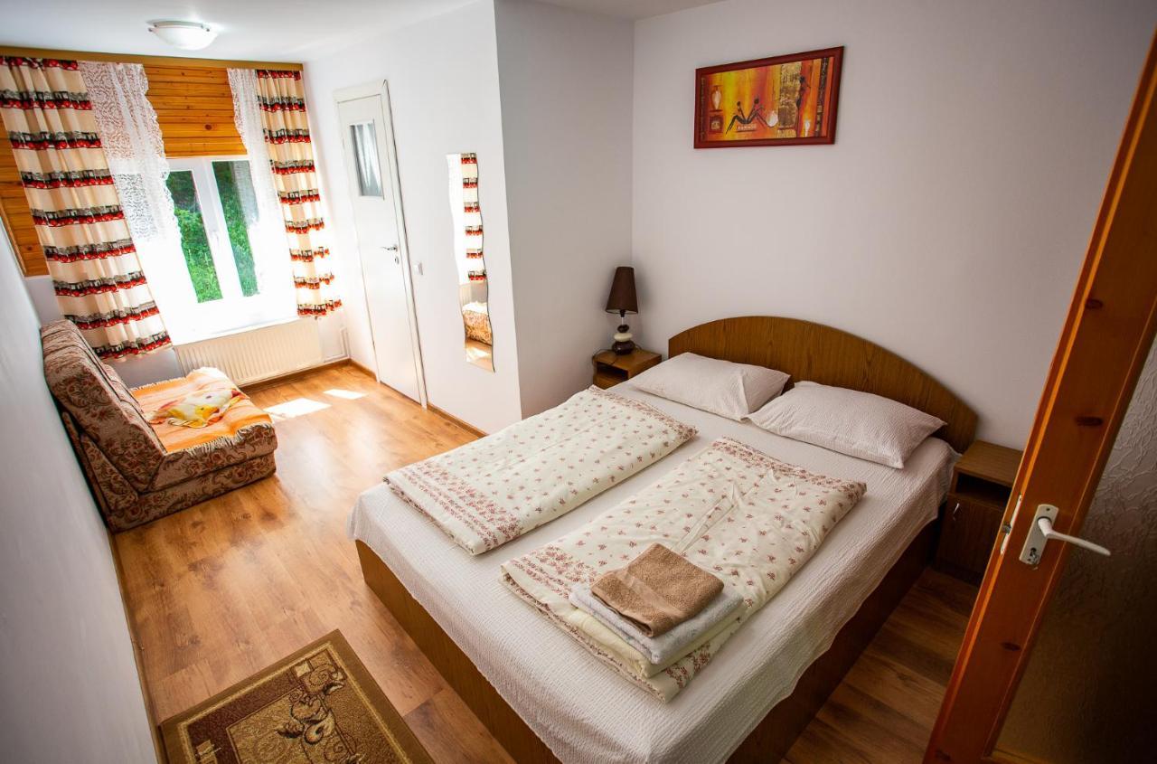 Casa Trandafirilor Hotel Cîrţişoara Екстериор снимка
