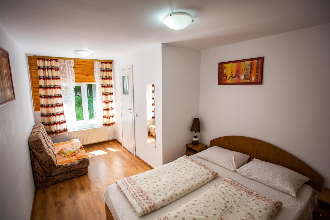 Casa Trandafirilor Hotel Cîrţişoara Екстериор снимка