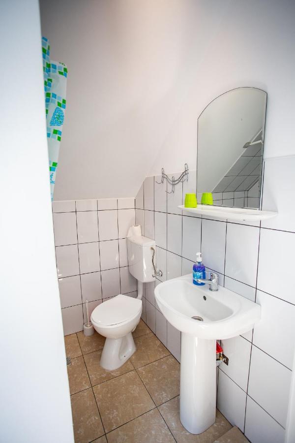 Casa Trandafirilor Hotel Cîrţişoara Екстериор снимка