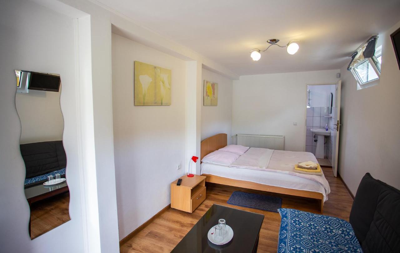 Casa Trandafirilor Hotel Cîrţişoara Екстериор снимка