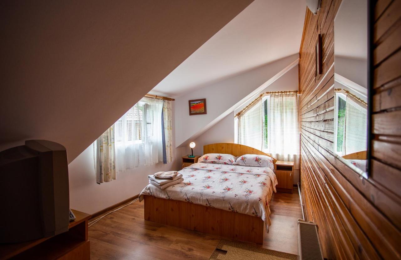 Casa Trandafirilor Hotel Cîrţişoara Екстериор снимка