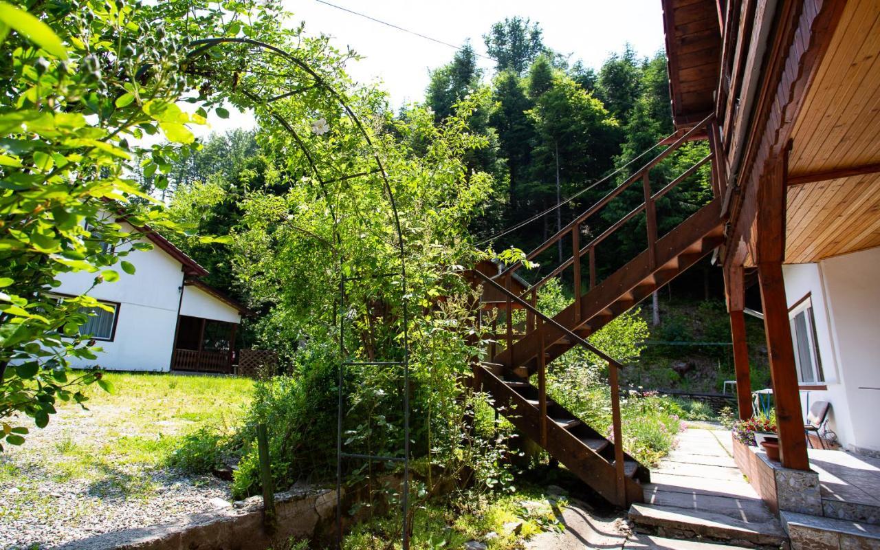 Casa Trandafirilor Hotel Cîrţişoara Екстериор снимка
