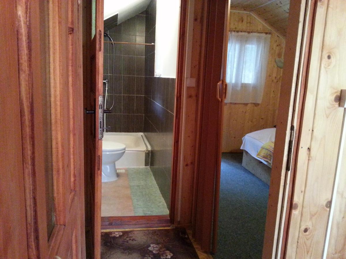 Casa Trandafirilor Hotel Cîrţişoara Екстериор снимка