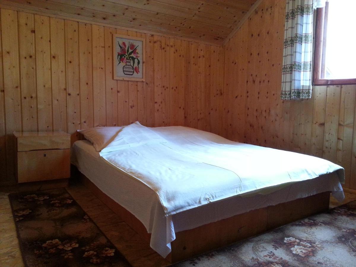 Casa Trandafirilor Hotel Cîrţişoara Екстериор снимка