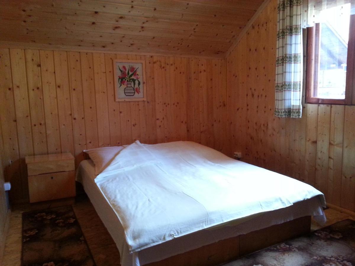 Casa Trandafirilor Hotel Cîrţişoara Екстериор снимка