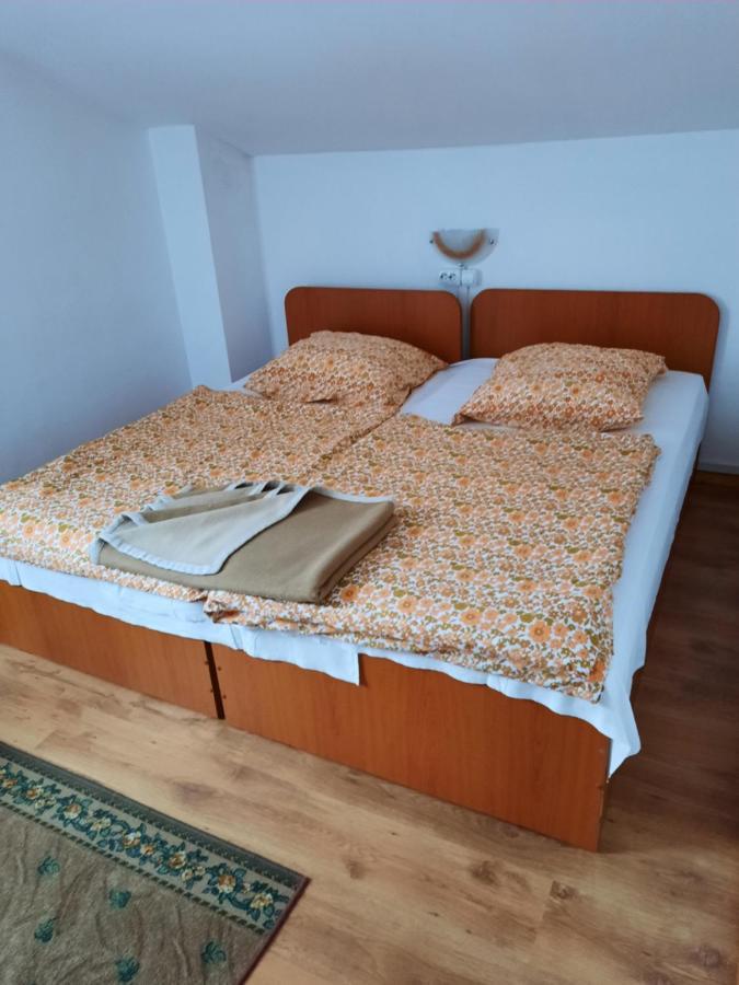 Casa Trandafirilor Hotel Cîrţişoara Екстериор снимка