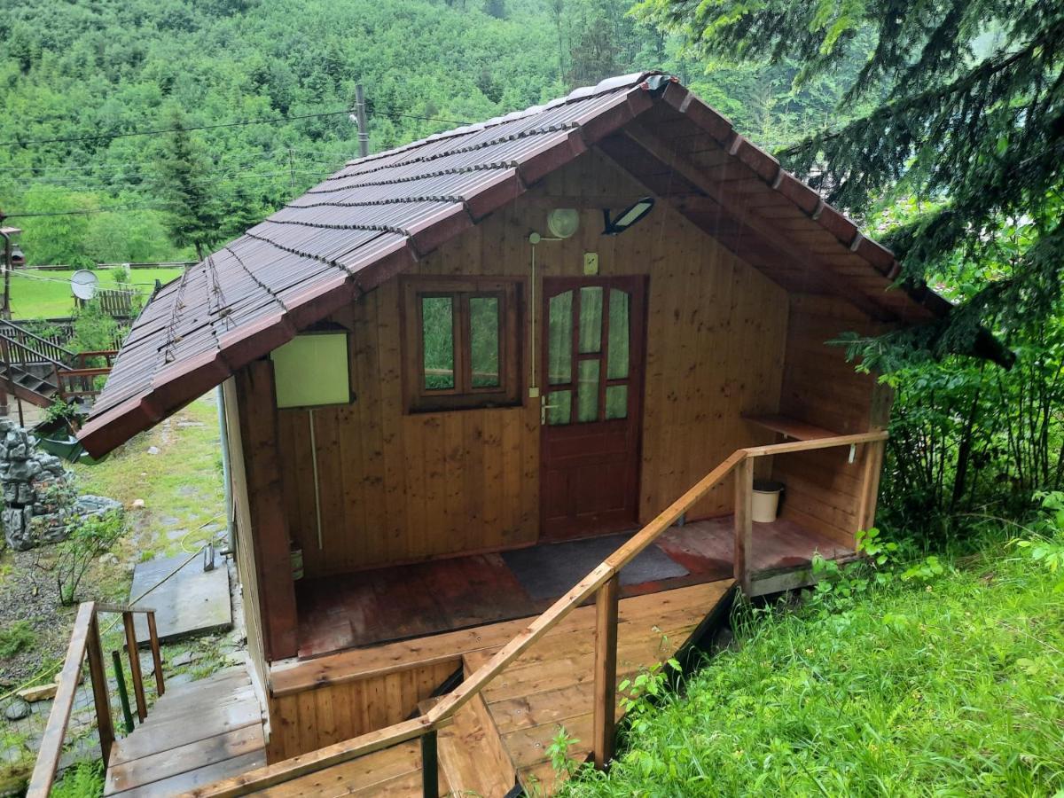 Casa Trandafirilor Hotel Cîrţişoara Екстериор снимка