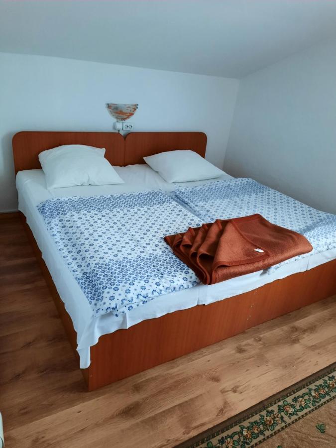Casa Trandafirilor Hotel Cîrţişoara Екстериор снимка