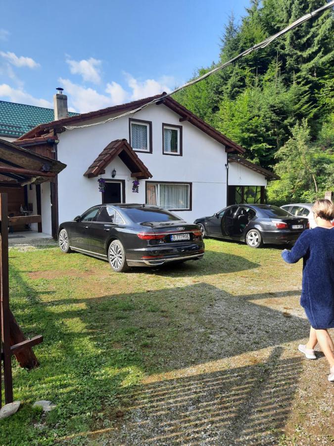 Casa Trandafirilor Hotel Cîrţişoara Екстериор снимка