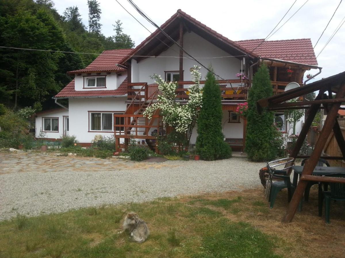 Casa Trandafirilor Hotel Cîrţişoara Екстериор снимка