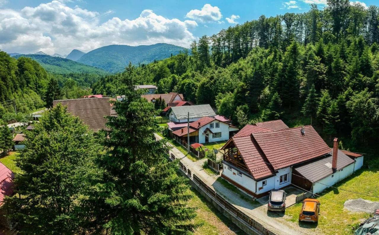 Casa Trandafirilor Hotel Cîrţişoara Екстериор снимка