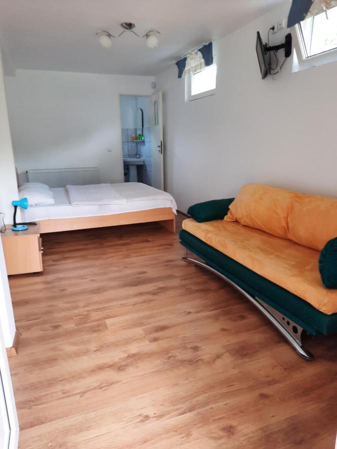 Casa Trandafirilor Hotel Cîrţişoara Стая снимка