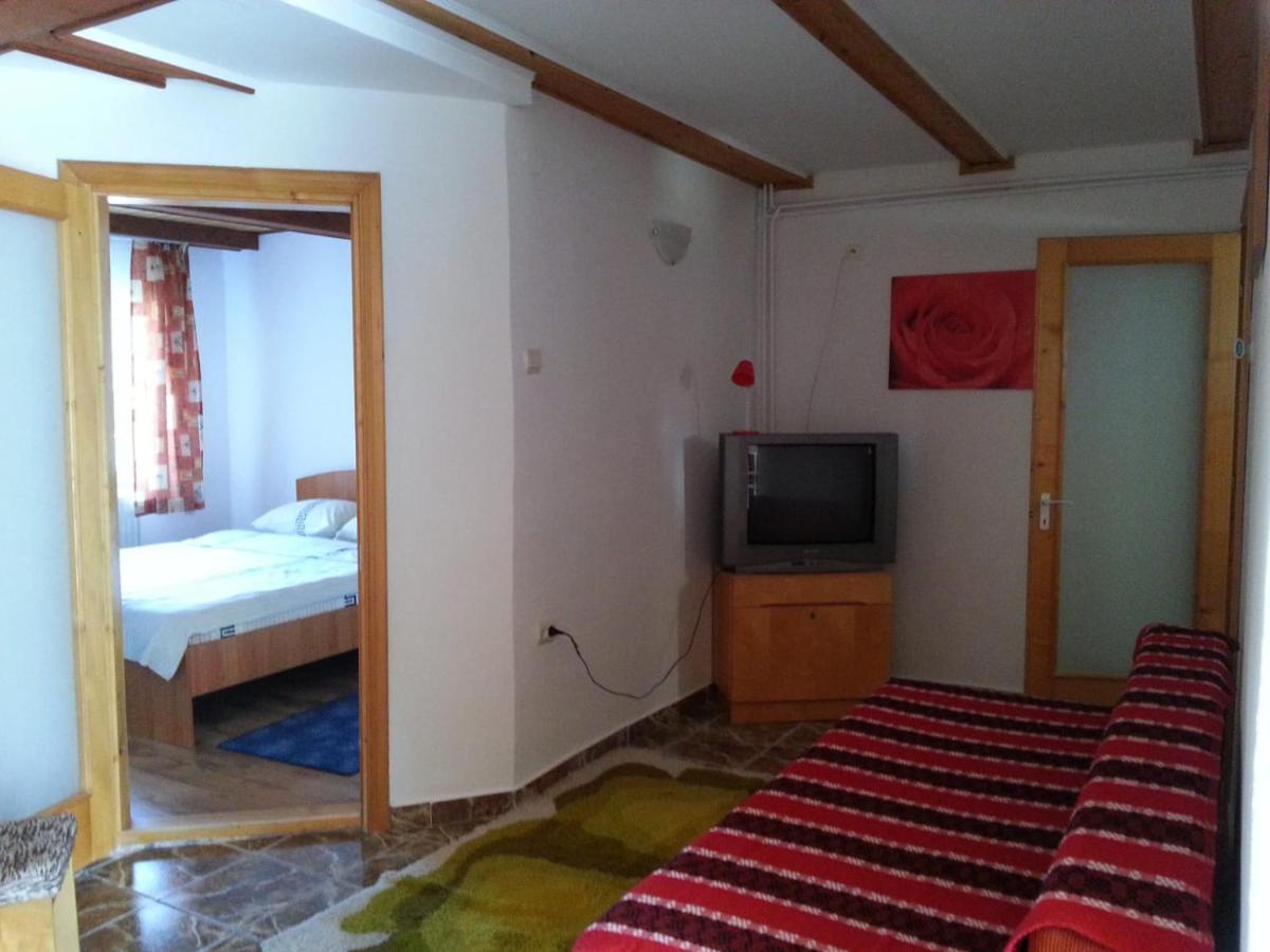 Casa Trandafirilor Hotel Cîrţişoara Екстериор снимка