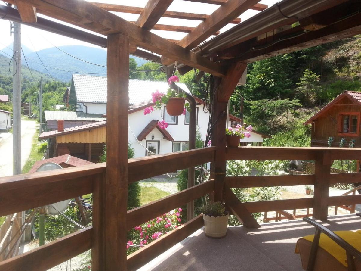 Casa Trandafirilor Hotel Cîrţişoara Екстериор снимка