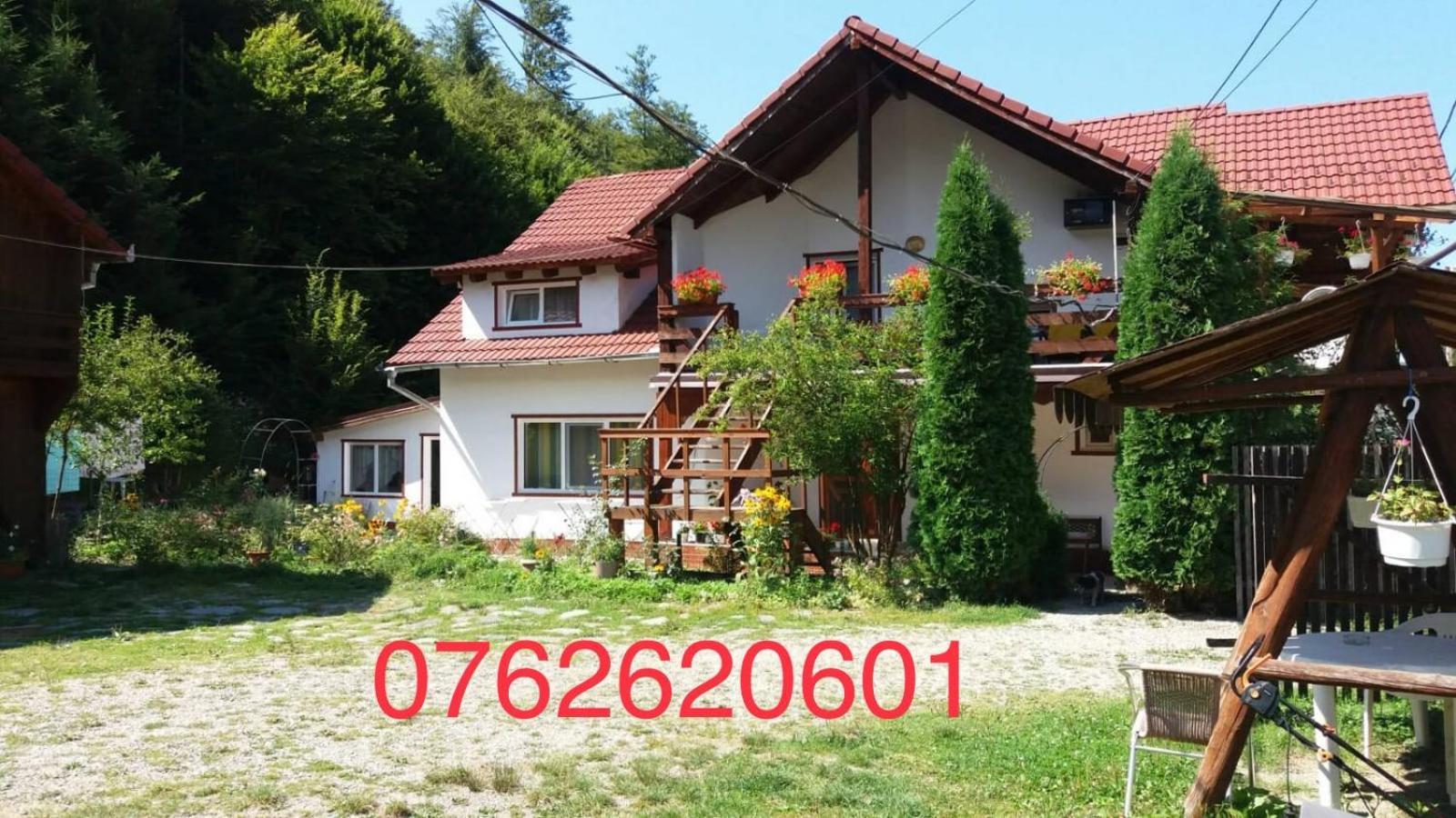 Casa Trandafirilor Hotel Cîrţişoara Екстериор снимка